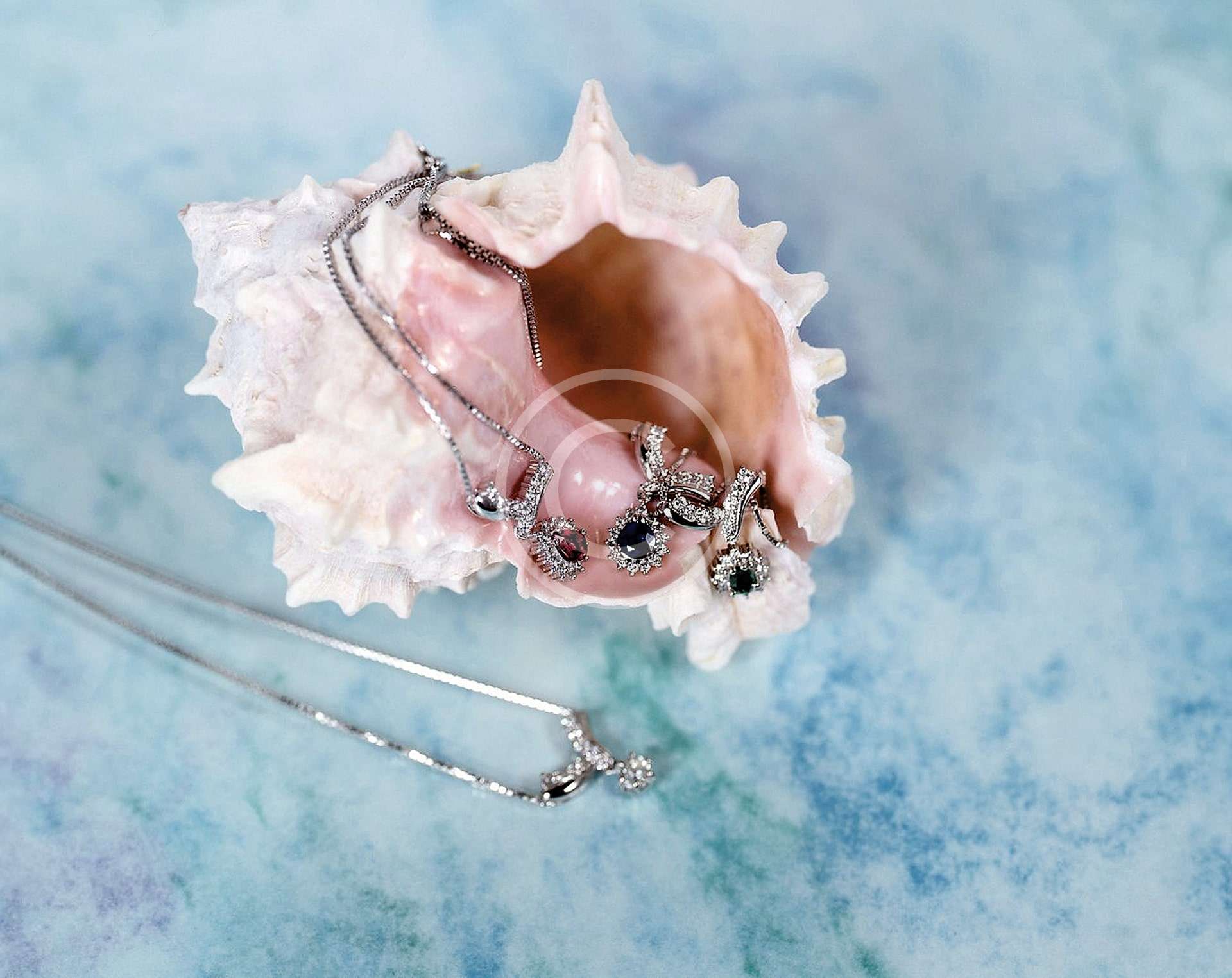 Özel Koleksiyonlar 1. Görsel